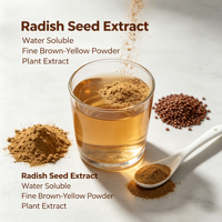 Offre Spéciale : Extrait Naturel de Graines de Radis 20:1, Poudre Fine d'Extrait de Semen Raphani pour Boissons Solides et Traitement Cosmétique