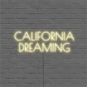 China Factory Price Wall Mounted 12V Wholesale Decorative Custom California Dreaming LED Letter Neon Sign