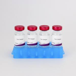 Avibacterium paragallinarum Type <span class=keywords><strong>B</strong></span> HI Test Antigène OIE Standardisé pour la sérologie infectieuse Coryza-Réactif de diagnostic vétérinaire - Product Image 2