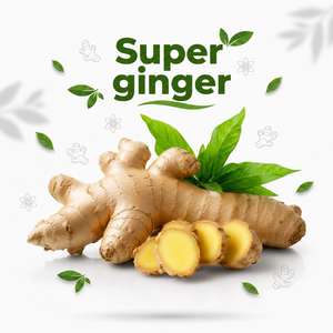 Premium Super <b>Ginger</b> <b>Fresh</b> Root Export Quality Natural Spice for Food Beverage and Wholesale Supply - Product Image 1
