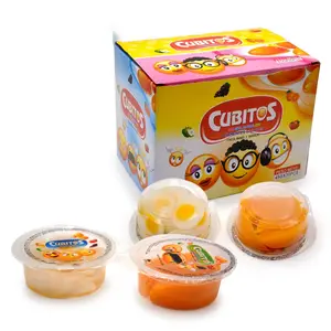cute sweet fruity jelly pudding in box