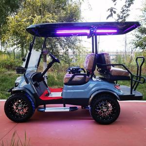 Voiturette de golf électrique Modèle E 2 + 2 places Moteur 4 temps Lieu spécial Véhicule touristique touristique - Product Image 3