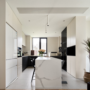 Nouvelle Arrivée : Armoire de Rangement de Cuisine de Luxe avec Panneau de Porte Plat, Personnalisée en Contreplaqué et Mélaminé - Product Image 2