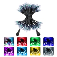 Etop DC12V 12mm WS2811 RGB 18awg kawat hitam Rgb warna penuh Ip68 peluru Led Pixel lampu tahan air fleksibel lampu Led String