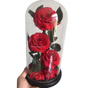 Factory Direct Wholesale Valentine's Day Glass Cover Three 3 Forever Eternal Preserved Rose In Glass Dome for Valentine Day