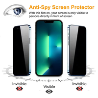 Protection d'écran en verre trempé anti-espionnage haut de gamme 9H 2.5D plat anti-rayures pour iPhone 12 13 14 15 16 17 Pro Max