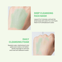 Masque nettoyant à l'argile de tomate verte avec logo personnalisé avec extrait de plante pour le nettoyage des pores exfoliation masques faciaux produits