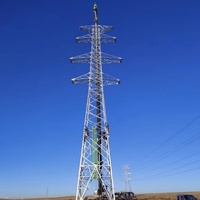 Tour de distribution électrique économique en acier galvanisé à circuit unique, tension 10-500 kV, courant 300 A, résistance aux typhons de catégorie 12, 30 ans