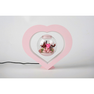 تعزيز الديكور هدية عيد الميلاد مصنع الرفع حامل زهرة وعاء المغناطيسي العائمة المحفوظة زهور طازجة بونساي شجرة - Product Image 1