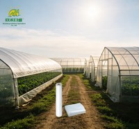 Film de serre pour pépinière, couverture en plastique transparent anti-buée pour favoriser la croissance saine des plantes