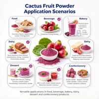 Poudre de fruit de figue de Barbarie (Opuntia Ficus-Indica) – Ingrédient alimentaire et pour boissons