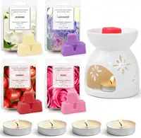 Ceramic Wax Melt Warmer Scentsy Warmer 2-in-1 Candle Wax Melter and Fragrance  Warmer for Wax Cube or Melts to Spa Home Office