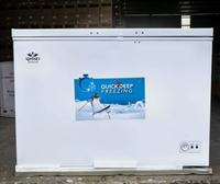 Réfrigérateur vertical de 269 L pour congélation et surgélation rapide, commercial, écoénergétique, avec panneau revêtu VCM