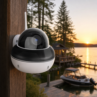 Caméra de sécurité PTZ WiFi sans fil avec projecteur, vision nocturne, détection de mouvement, étanche IP66, alarme pour entreprise et magasin