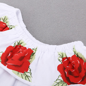Ropa Infantil al por Mayor en Línea de China, Conjuntos de Ropa para Niñas con Estampado de Rosas, Más Vendidos - Product Image 5