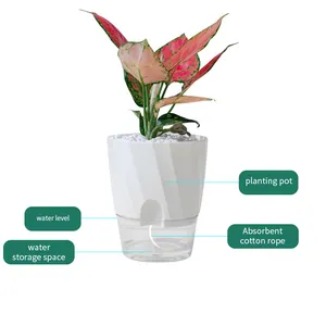 新しい緑のディル植物自動給水小さな植木鉢デザイン透明水耕プラスチック家庭用装飾盆地