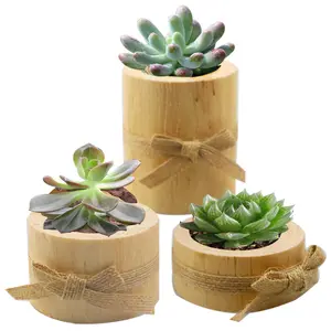 H451 Multi Function Creative Rustic Tree Stump Flowerpot Wooden Handmade Craft Gift Natural Wood Candle Holder