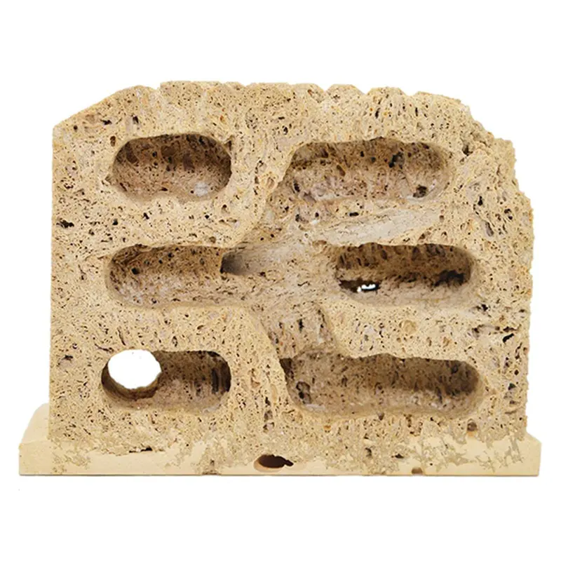 Acrylic kiến Tổ đá tự nhiên Kiến trang trại trang trại côn trùng biệt thự với cho ăn khu vực hiển thị hộp thoáng khí
