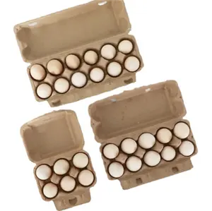 Grosir bubur kuning 15 baki telur bubur kertas kotak kemasan kertas telur perlindungan lingkungan mudah terurai