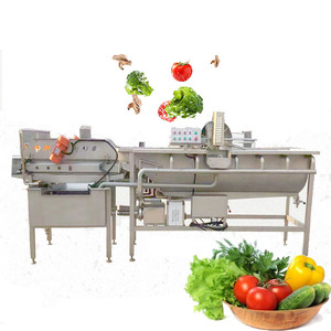 Industrial Grade <b>Vegetable</b> Cleaning Machine New Eddy Current Washing Equipment With Engine Core Component for Fruit Raw Material - Product Image 6