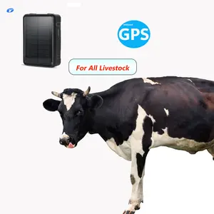 Ganadería caballo y oveja GPS Solar 4G vaca GPS trackers para vacas solar ganado animal GPS dispositivo de seguimiento para vaca personalizado