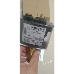 1 interrupteur de pression SAUTER DSB158F931 neuf - Product Image 1