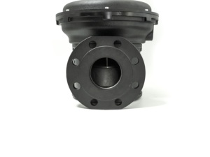 Original nuevo <span class=keywords><strong>precio</strong></span> al por mayor AGV válvula reductora <span class=keywords><strong>de</strong></span> presión piezas <span class=keywords><strong>de</strong></span> combustión profesional accesorios <span class=keywords><strong>de</strong></span> caldera - Product Image 3