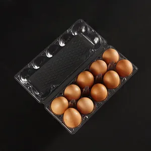 Suporte transparente para ovos, suporte para ovos transparente, 10 furos, caixa para ovos, bandeja descartável de plástico transparente para animais de estimação