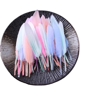 10-15CM/50 <span class=keywords><strong>racines</strong></span> <span class=keywords><strong>le</strong></span> fabricant vend directement des plumes d'oie DIY pour enfants matériaux faits à la main bijoux vêtements matériaux - Product Image 1