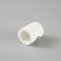 Raccords et connecteurs à douille en PPR blanc poli de haute qualité Chuanzeng 20 mm pour système de conduites d'eau
