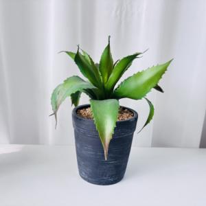 Maceta de Plástico con Imitación Realista de Aloe <span class=keywords><strong>Vera</strong></span>, Planta en Maceta para el Día de San Valentín, Decoración de Mesa para el Hogar, Arreglo de Vegetación Verde - Product Image 3