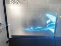 Écran LED transparent flexible pour extérieur, film d'affichage LED, écran LED cristallin sur verre, panneau TV à cellules ouvertes, vente chaude