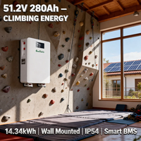 Baterai Lithium Ion 14kWh 48V 51.2V 280Ah untuk Sistem Tenaga Surya Off Grid, Terpasang di Dinding dengan Roda