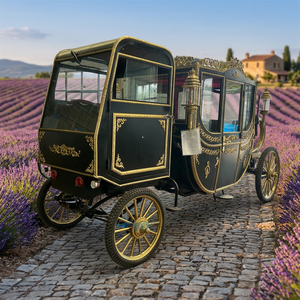 Calèche royale de luxe avec cabine scellée, calèche électrique sans chevaux, calèche royale personnalisée de haute qualité à vendre - Product Image 1