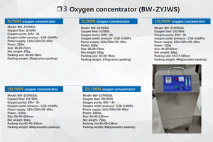 20L 15L 10L <span class=keywords><strong>5L</strong></span> 3L di động oxygene tập trung Ozone oxy Máy phát điện cho xử lý nước - Product Image 4