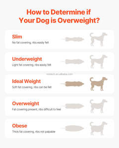 Niet-elektrische hondentrainer - Product Image 6