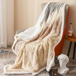 Double Layer Lamb Plush Blanket Flannel 50 * 60 Inches Factory Stock Wholesale Thickened Leisure Sofa Cover Blanket