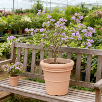 Pots à fleurs en plastique modernes et bon marché en gros pour la maison et le jardin, pots de pépinière d'intérieur et pots décoratifs