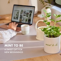 Kit Penanaman Mint Garden Republic Non GMO dengan Pot dan Media Tanam