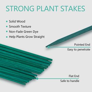 12 Inch/18 Inch Long Dyed Green Color Natural Bamboo Sticks for Gardening <strong>Flower</strong> <strong>Supporting</strong> - Product Image 6