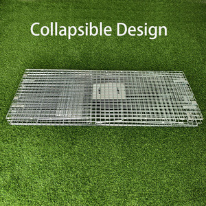 Piège à animaux vivants Piège à chats humain Piège à animaux pliable avec poignée pour chiens errants, armadillos, ratons laveurs, marmottes, renards - Product Image 5