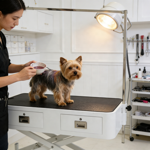 USMILEPET Fabrika Çıkışlı Elektrikli Kaldırılabilir Evcil Hayvan Bakım Masası Çekmeceli Köpek Bakım Masası Evcil Hayvan Bakım Salonu İçin - Product Image 4