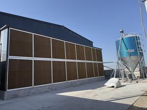 Nuovo strato automatico di alta qualità di pollo macchina di alimentazione di alta qualità gabbie di pollo - Product Image 3