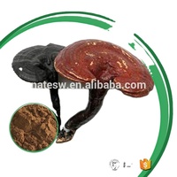 Extrait de champignon Ganoderma Lucidum (Reishi) en poudre, biologique, certifié ISO9001, emballé sous vide en fût, riche en polysaccharides, anti-âge