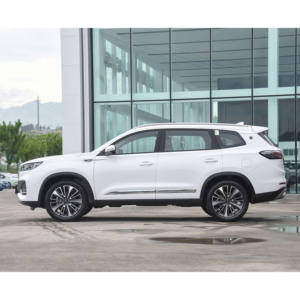 Chery Tiggo 8 PLUS 2024 Champion Edition 290TGDI DCT Haoyao Edition 5 Places - Product Image 4