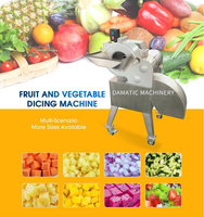 Automatische groente-, aardappel-, wortel-, ui-, tomaat-, kokosnoot- en mangoblokjes snijmachine CHD100
