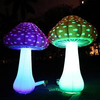 Ballons gonflables en forme de champignons et de fleurs à thème de conte de fées avec LED pour la décoration