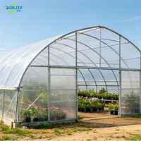 Serre tunnel monopente à structure en acier galvanisé, avec bâche PE anti-UV, pour la culture commerciale de tomates