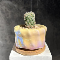 Pot de fleurs succulentes Twist Fantasy, coloré et chatoyant, style nordique, respirant, résistant à la corrosion, électroplaqué