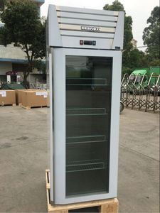 <span class=keywords><strong>Cucina</strong></span> a porta singola in acciaio inossidabile per porte in vetro congelato a base di carne frigorifero - Product Image 2